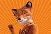 Mr.Fox.m