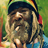 rasta_shells