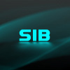 S1B