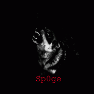 Sp0ge