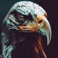 EAGLEi