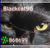 Blackcat95