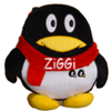 ZiGGi