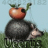 Veerus