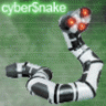 cyber$nake