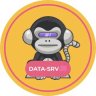 DATASRV