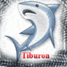 Tiburon