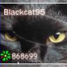 Blackcat95