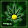 -=COPA=-