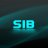 S1B